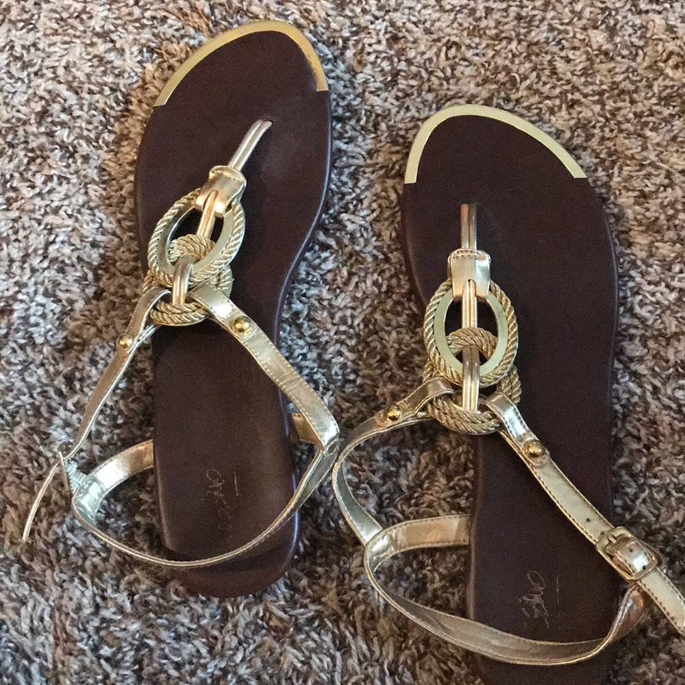 Brown and Gold Sandals